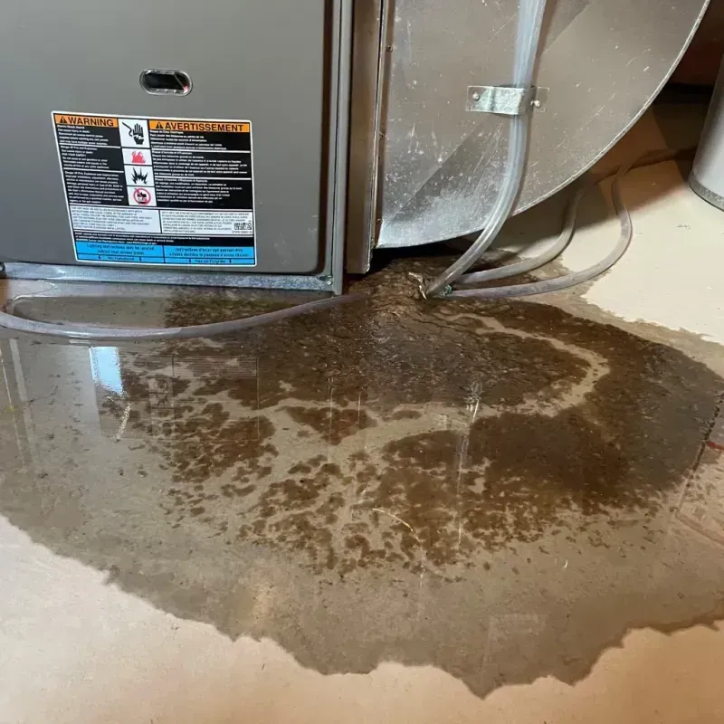 Appliance Leak Cleanup in Crompond, NY